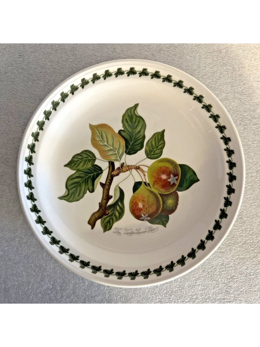 Portmeirion Pomona Dinner Plate The Teinton Squash Pear 10.5" Vintage - England